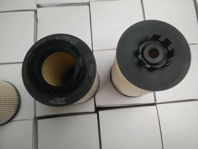 15*15*28cm 1kg Ciężarówka Diesel Filter 12503-0061 Lion Diesel Filter 0