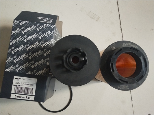 1kg Diesel Truck Fuel Filter 12503-0061 with 15×15×28cm Size